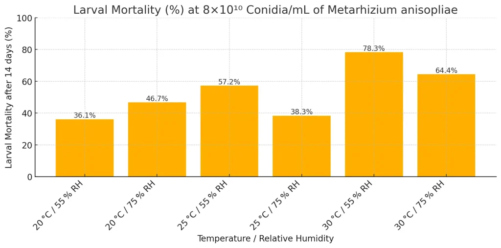 Larval Mortality Rates with Metarhizium anisopliae at Varying Temperature and Humidity Conditions Bar chart showing larval mortality rates at 8×10¹⁰ conidia/mL of Metarhizium anisopliae under six temperature and humidity conditions over 14 days