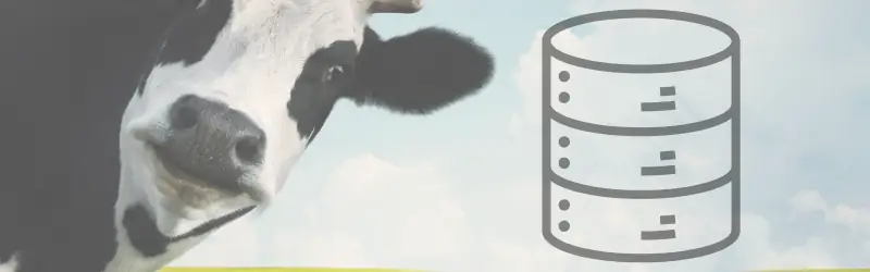 animal-data-blockchain-farm-monetization Close-up of a farm animal next to a database icon, illustrating how farmers can monetize farm data with blockchain by converting animal records into digital assets.