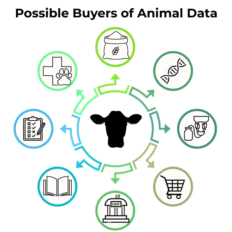 animal-data-potential-buyers-infographic Infographic depicting eight potential buyers of animal data—including feed manufacturers, genetic researchers, dairy producers, retailers, government agencies, educators, regulators, and veterinary services—with a cow icon at the center