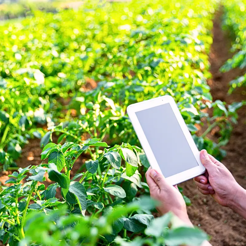farm-data-digital-gold-blockchain Farmer using tablet in crop field to collect agricultural data for blockchain-based trading and digital asset creation