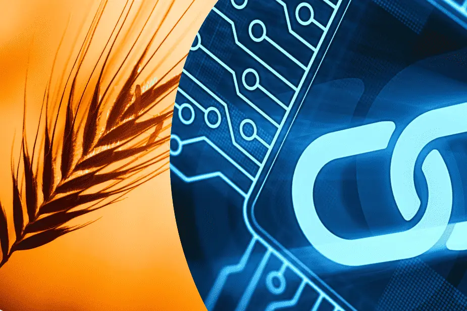 Illustration of a wheat stalk merging with a blockchain circuit—representing farm data monetization with digital technology