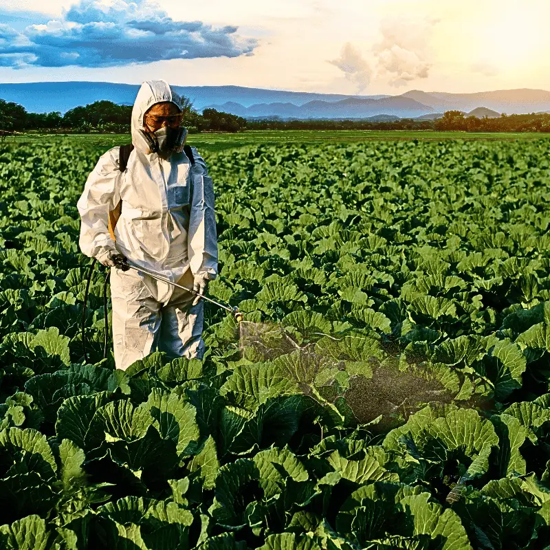 monetize-farm-data-with-blockchain-crop-spraying-action Farmer wearing protective gear sprays crops in open field, illustrating how routine farm tasks become blockchain-ready digital assets for data monetization