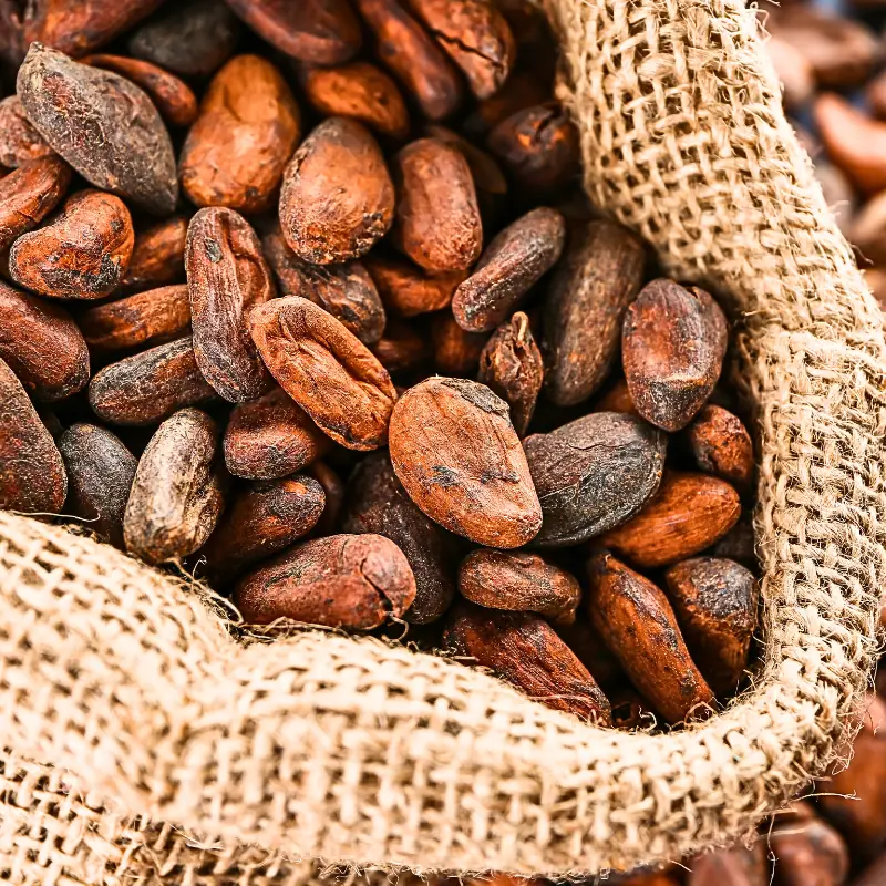monetizing-farm-data-with-blockchain-cocoa-beans Raw cocoa beans in a burlap sack representing agricultural commodities used in blockchain-based farm data monetization