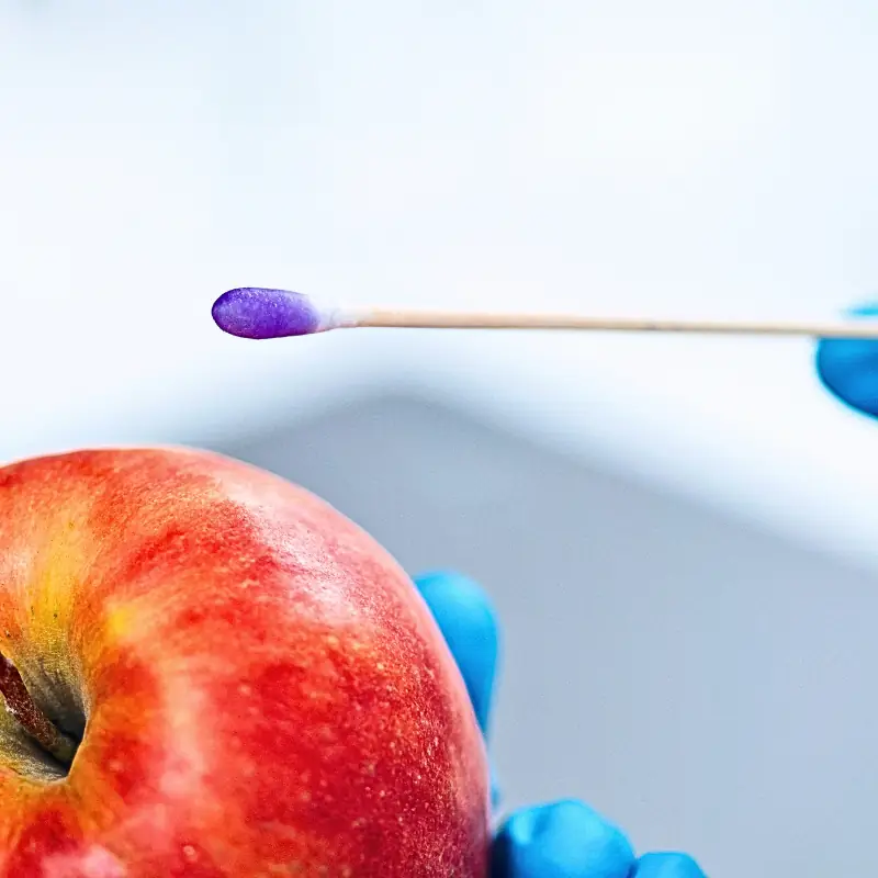 mrl-compliance-export-market-access-blockchain Gloved hand swabbing a red apple with a cotton swab, illustrating pesticide residue testing for MRL compliance in blockchain-enabled export systems.