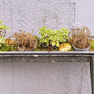 DIY gutter garden mounted on a wall with a mix of ornamental and edible plants, showing a creative vertical gardening technique for tight spaces