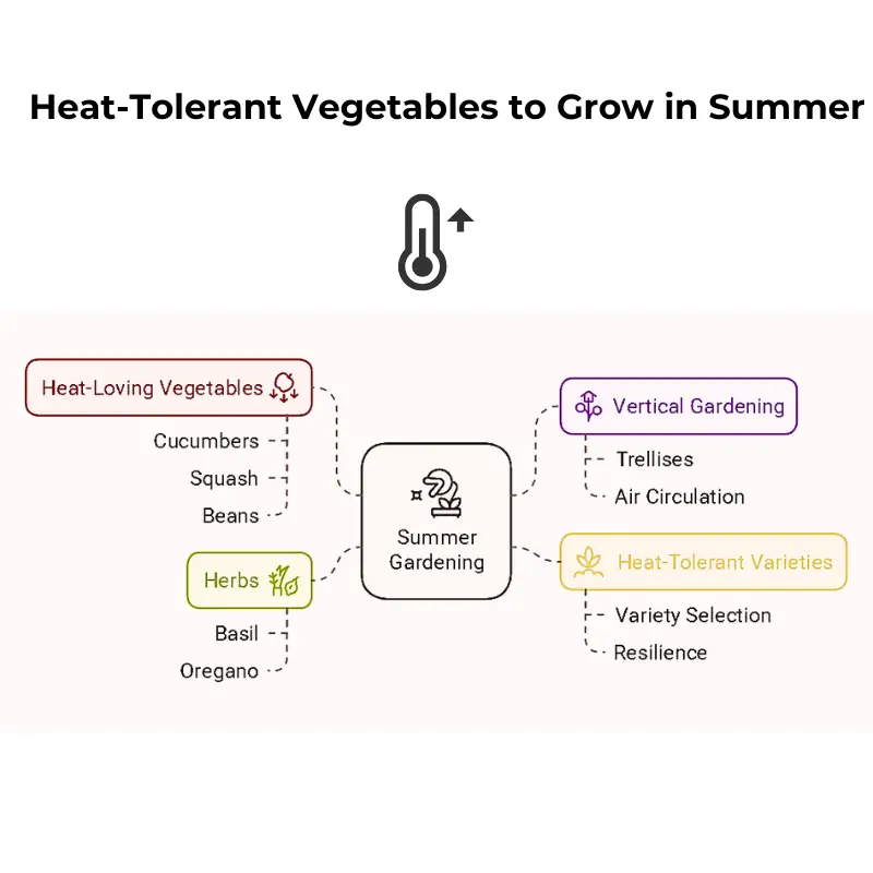 Infographic showing heat-tolerant vegetables and herbs suitable for summer gardening, including cucumbers, squash, and basil