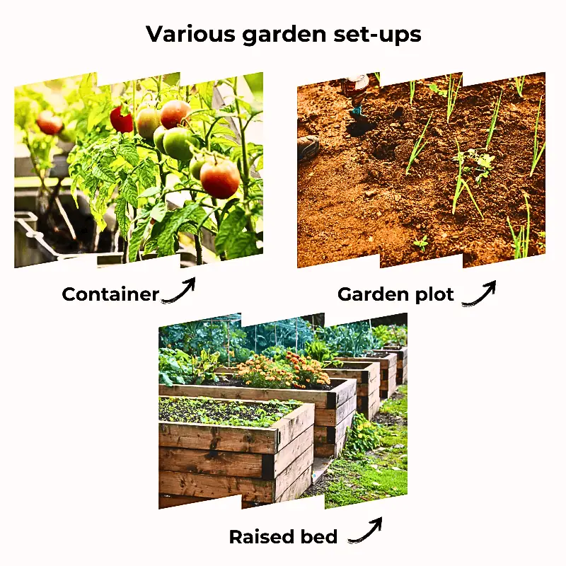 Visual comparison of container gardening, garden plots, and raised bed setups for growing vegetables"