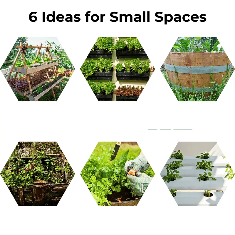 6-gardening-ideas-small-urban-spaces