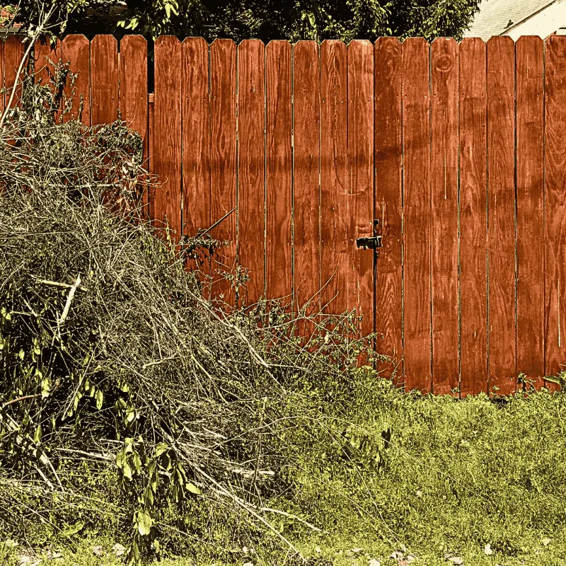 garden-debris-cleanup-small-backyard
