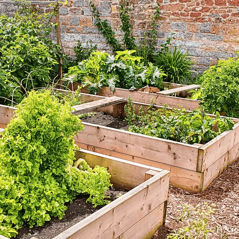 raised-beds-for-small-urban-gardens-example
