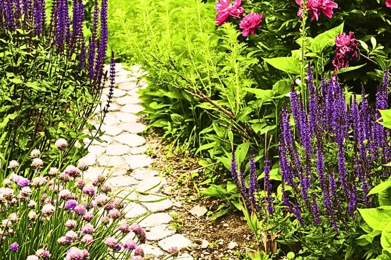 space-saving-garden-path-colorful-flowers Stone garden path lined with tall purple spiked flowers and lush pink blooms—an inspiring example of space-saving garden path ideas.