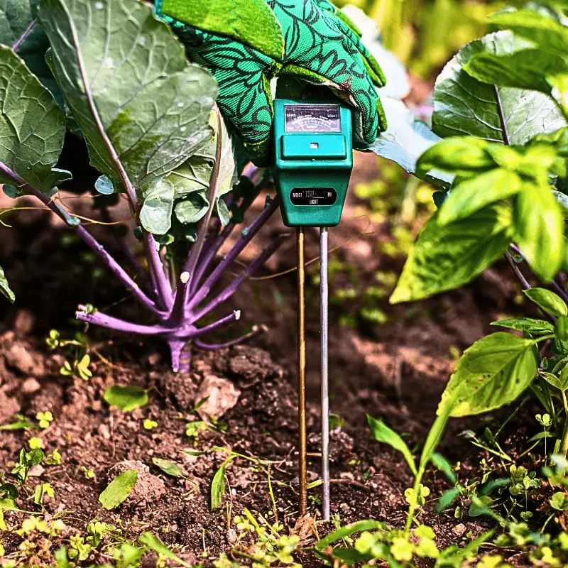 A gloved hand using a digital soil meter to check moisture and pH in a small tech-driven garden