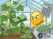 Greenhouse cucumbers being fed money - what does one cucumber really cost in controlled production? Free calculator shows per plant, per kg, single costs.