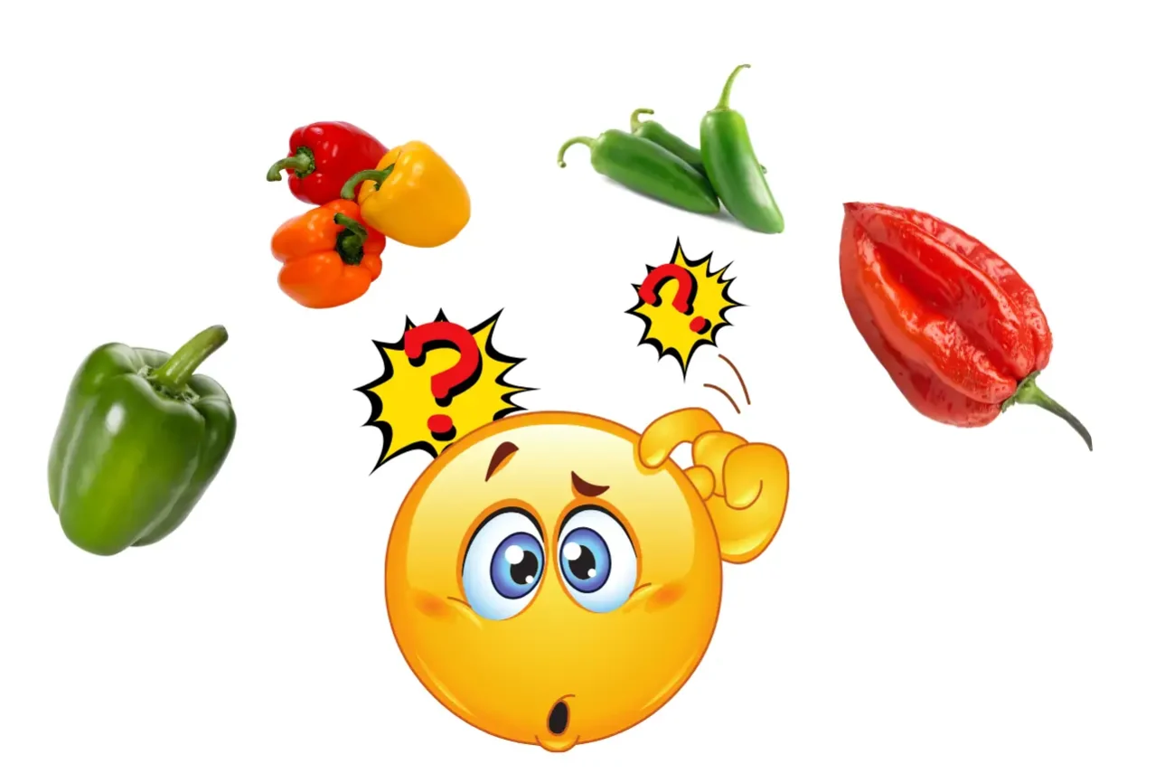 pepper-cost-calculator-break-even-profit Pepper cost calculator concept image showing different pepper types and a confused emoji, representing pricing decisions for cost per kg (lb), break-even price, and profit.