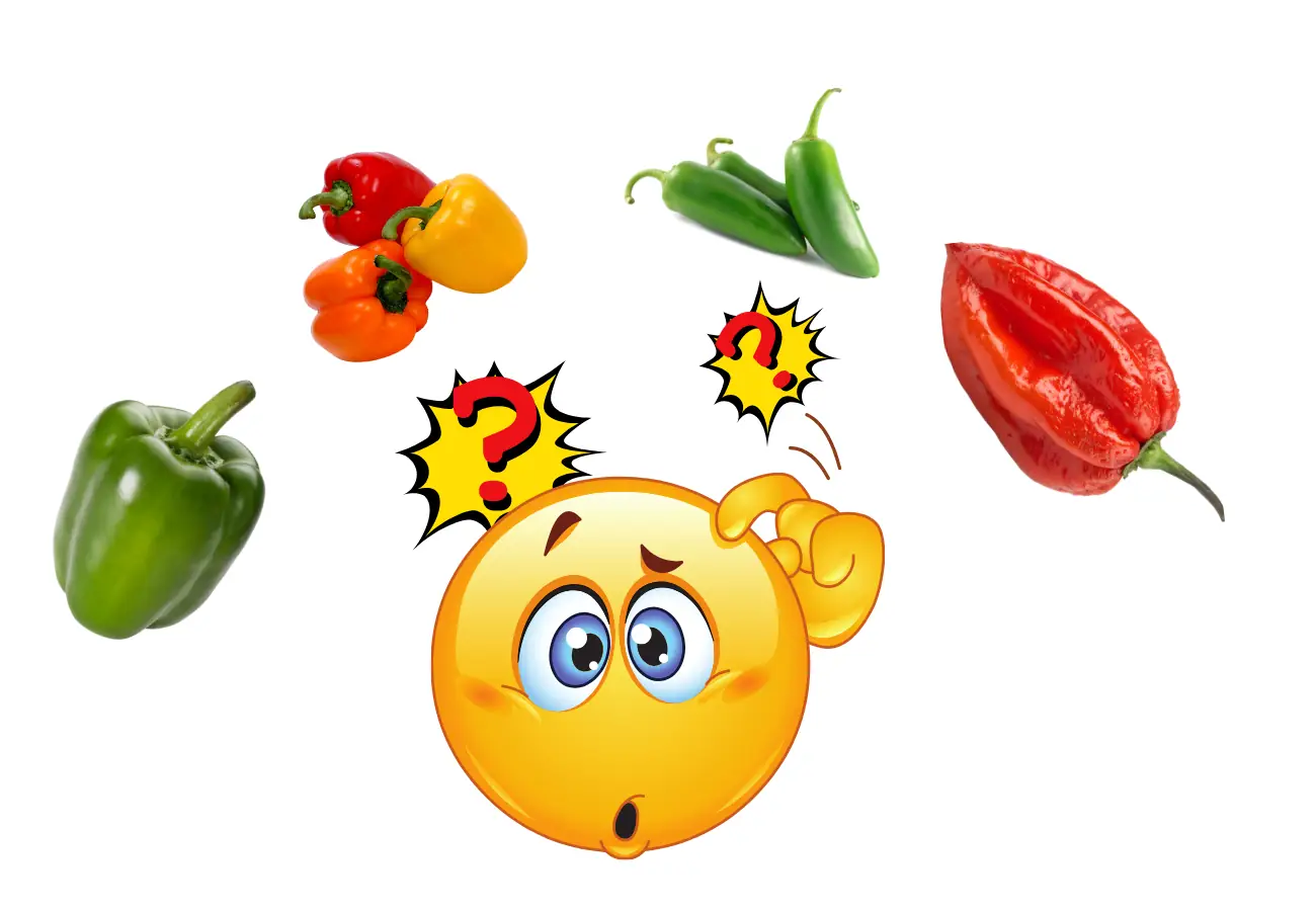 pepper-cost-calculator-break-even-profit Pepper cost calculator concept image showing different pepper types and a confused emoji, representing pricing decisions for cost per kg (lb), break-even price, and profit.