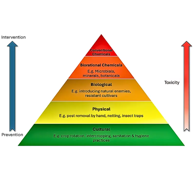 integrated-pest-management-ipm-pyramid Integrated Pest Management pyramid showing cultural, physical, biological, biorational, and conventional chemical control levels