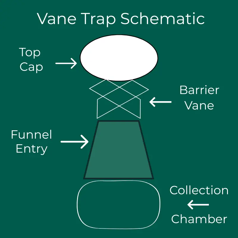 vane-trap-schematic Schematic diagram of a vane trap showing the top cap, barrier vane, funnel entry, and collection chamber