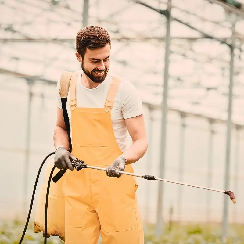 backpack-sprayer-greenhouse-plant-care Grower using a backpack sprayer in a greenhouse, showing how backpack sprayers suit larger gardens, greenhouse rows, and small farm plant care