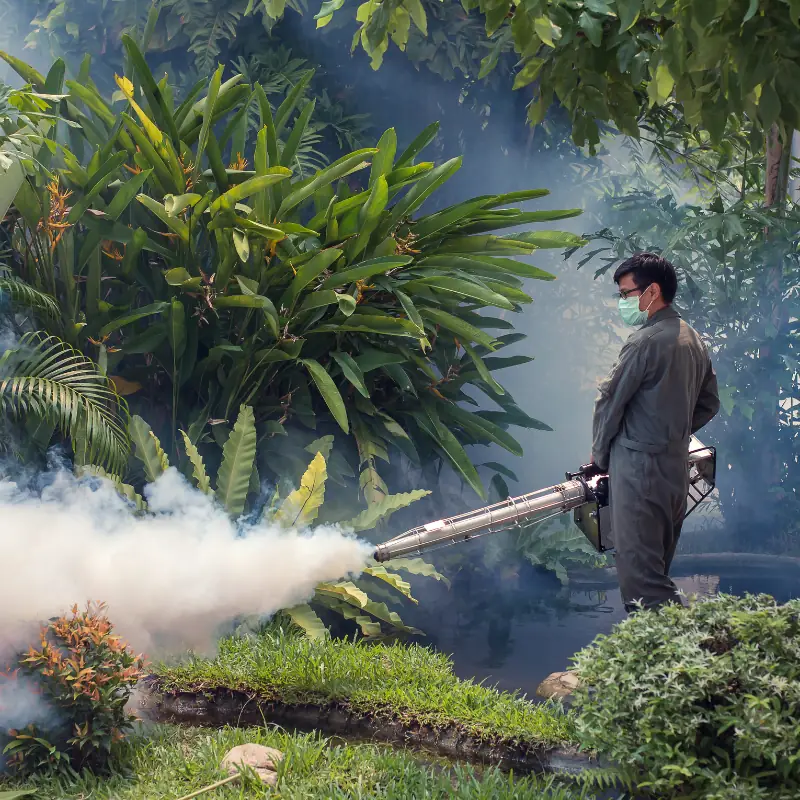 cold-fogging-vector-control-application Operator applying cold fogging in a landscaped outdoor area for mosquito control, vector control, and specialist pest management
